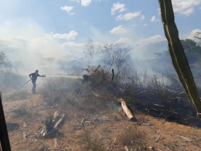 Por temporada seca, alerta por incendios forestales en La Guajira