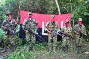 Defensoría del Pueblo espera que el Eln cumpla anuncio de cese al fuego para fin de año