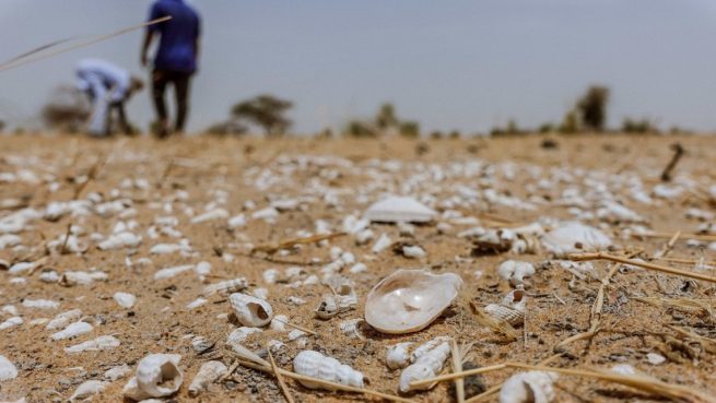 Conflictos armados y cambio climático avivarán crisis humanitarias en 2023: estudio