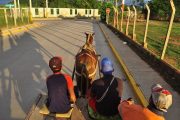 Este lunes culmina en Valledupar el censo a vehículos de tracción animal