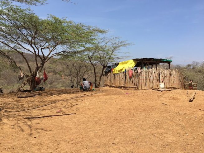 Procuraduría indaga sobre muerte de tres bebés por desnutrición en La Guajira