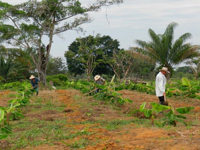 Profesores de la Unal-La Paz, trabajan a través del proyecto Bio-Agro-Energético