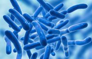 Por qué los probióticos son importantes para la salud