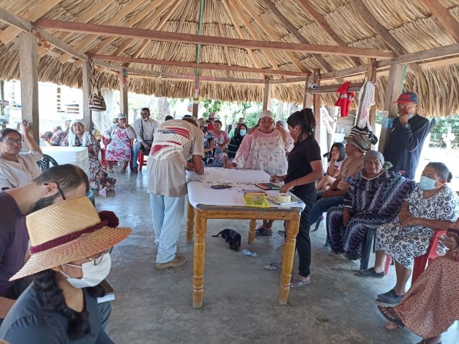 Presentan demandas para recuperar territorios indígenas en Maicao y Barrancas (La Guajira)