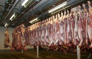 Importaciones de carne bovina alcanzarán récord al cerrar 2022