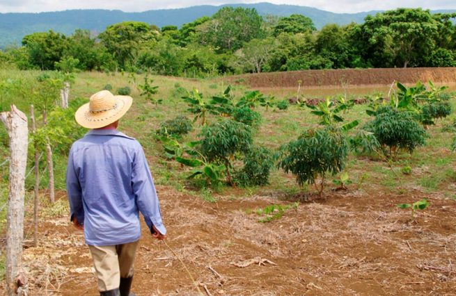 Urgen intervención del Gobierno Nacional ante crisis de sector campesino en el Cesar