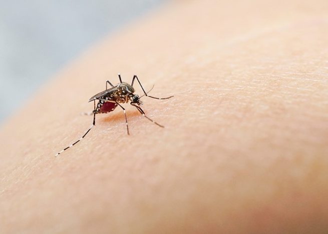 Hospital de Riohacha alerta sobre aumento de casos de dengue durante 2023