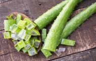 Cómo puede la sábila o aloe vera ayudar a combatir la diabetes