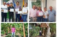 Cesar sigue sumando predios certificados en buenas prácticas agrícolas