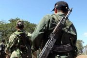 El Gobierno colombiano evalúa una posible violación del cese el fuego con disidencias