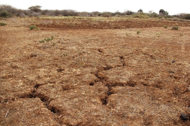 Se pronostica que fenómeno de El Niño llegue a mitad de año, con posibles sequías