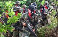 El Eln es el grupo criminal con mayor presencia en Venezuela, según estudio