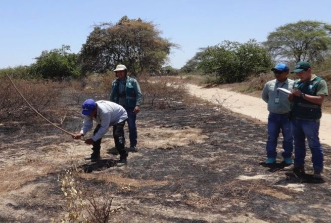 Corpoguajira programa jornadas de capacitación sobre prevención de incendios forestales