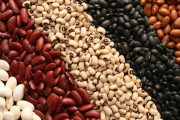 Distintos tipos de frijoles y sus beneficios para la salud