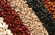 Distintos tipos de frijoles y sus beneficios para la salud