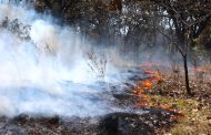 Minambiente lanza estrategia ‘Sin fuego, cero incendios’