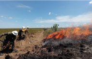 En Colombia, más de 16.500 hectáreas se han perdido por los incendios forestales