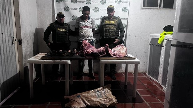 Sindicado del delito de abigeato, capturado en La Paz, Cesar