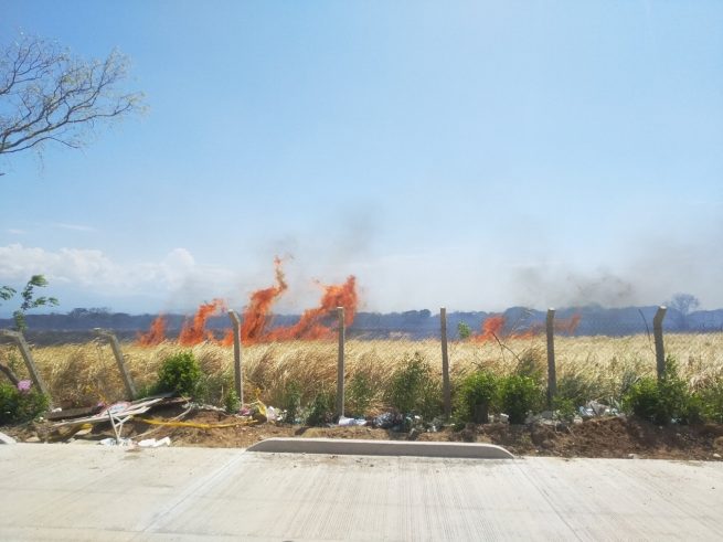 Foro Ambiental del Cesar denuncia incendio forestal en vía hacia Las Casitas