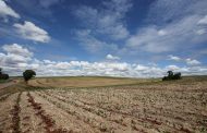Estudio: Sequía en Sudamérica no se debe al cambio climático
