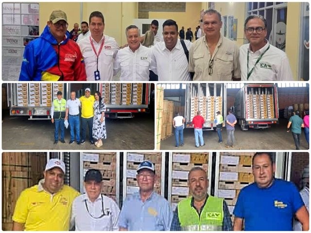 Colombia exportó 66.000 pollos de engorde a Venezuela