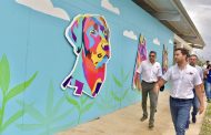Dentro de poco el Centro de Bienestar Animal será una realidad en Valledupar
