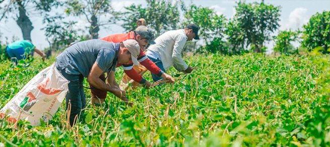 La ADR anunció apertura de convocatorias por $ 77 mil millones para financiar proyectos productivos