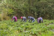 Nuevo decreto facilita acceso a tierra para víctimas de catástrofes naturales declaradas