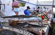 Colombia cuenta con 30 mil toneladas de pescado para la Semana Santa