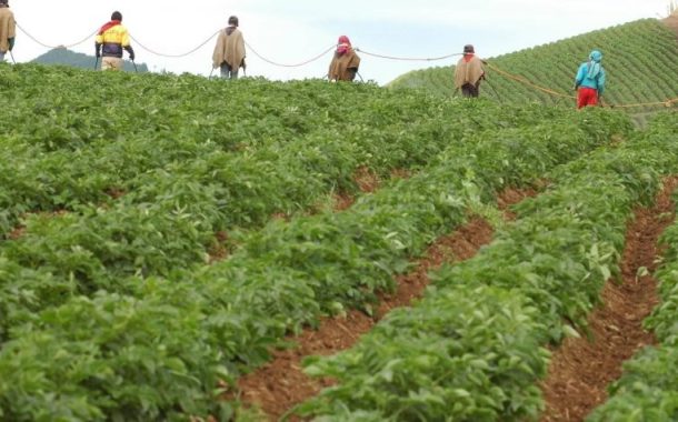 Para la reforma agraria, “no podemos quedarnos solo con la oferta de Fedegán”: Mingricultura
