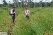 El plan que regresa a la vida productiva a reincorporados de las Farc en 22 departamentos, entre esos, Cesar