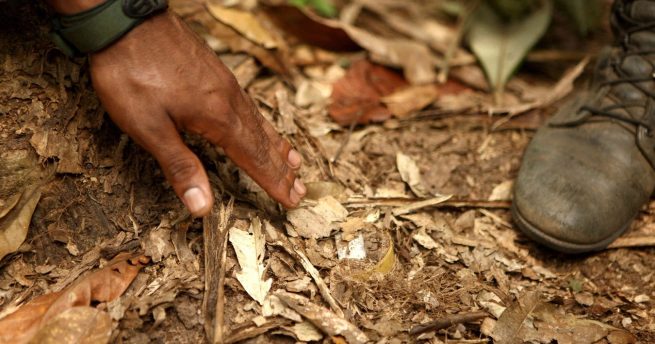 73 víctimas de artefactos explosivos en el primer trimestre de 2023 en Colombia