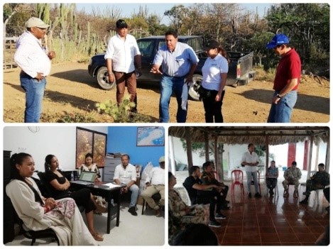 Continúan implementando acciones de seguimiento contra la fiebre aftosa en La Guajira