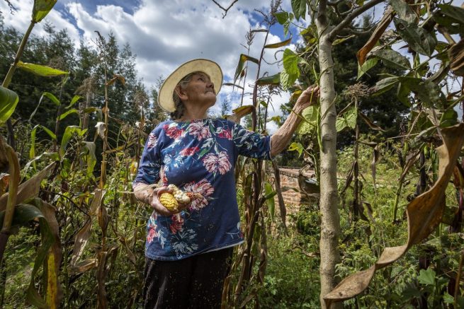 Persisten las barreras en el acceso a la información para las mujeres campesinas colombianas