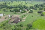 Cesar: decomisan finca avaluada en $ 26.000 millones de las AUC