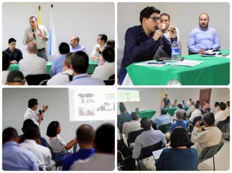 Definen hoja de ruta para mantener la sanidad de los cultivos de plátano y banano en Colombia