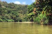 Inician trabajos de recuperación de cobertura vegetal en varios ríos de Palomino (La Guajira)