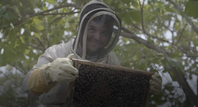 Enel Green Power y CONGSA unen esfuerzos para fortalecer el apiario solar de La Loma, Cesar
