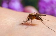 Venezuela anuncia un refuerzo al cerco epidemiológico contra la malaria