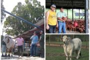 El ICA se prepara para mejorar su accionar ante emergencias zoosanitarias