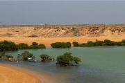 Corpoguajira participa en alianza nacional para la protección de los ecosistemas marino costeros