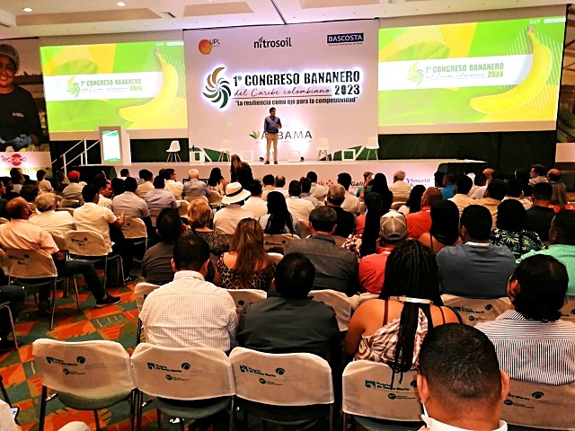 Gestión de riesgos fitosanitarios con enfoque preventivo, presente y futuro de la producción de plátano y banano en Colombia