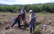En municipio del Cesar, el Igac realiza caracterización de suelos