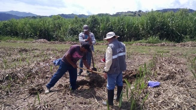 En municipio del Cesar, el Igac realiza caracterización de suelos