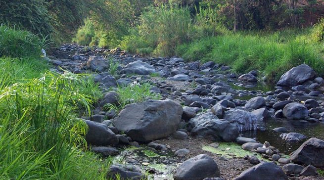 Probabilidad de que entre julio y septiembre inicie fenómeno de El Niño es de 80 %