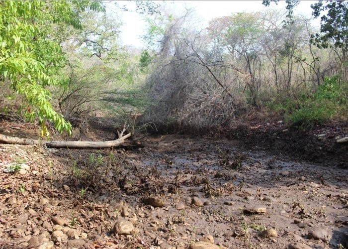 MinAmbiente anuncia estrategias de prevención y atención al iniciarse la temporada de ciclones tropicales en Colombia