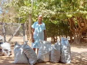 Donan más de 1.200 sacos de carbón vegetal a familias vulnerables de Fonseca y Urumita