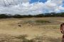 Minambiente anuncia intervención integral a La Guajira y la Amazonía