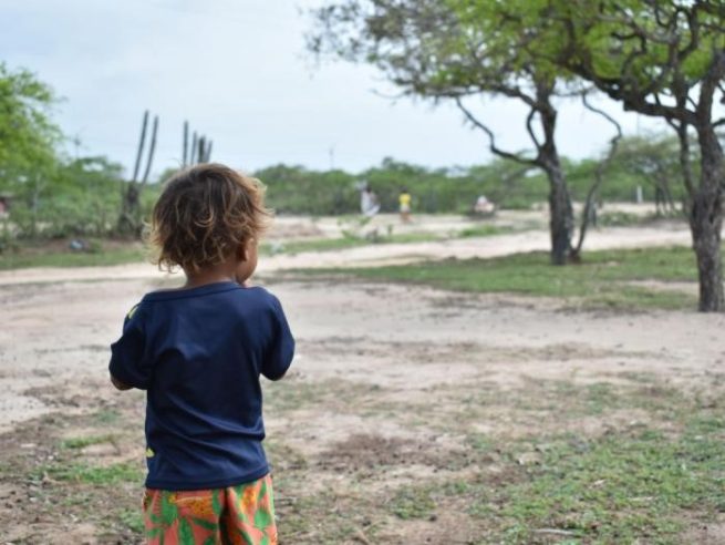 Defensoría del Pueblo solicita fortalecer rutas de atención debido a muertes de niñas y niños por desnutrición en el país