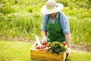 Sena anuncia $ 25.000 millones para emprendimientos nacidos en el campo colombiano